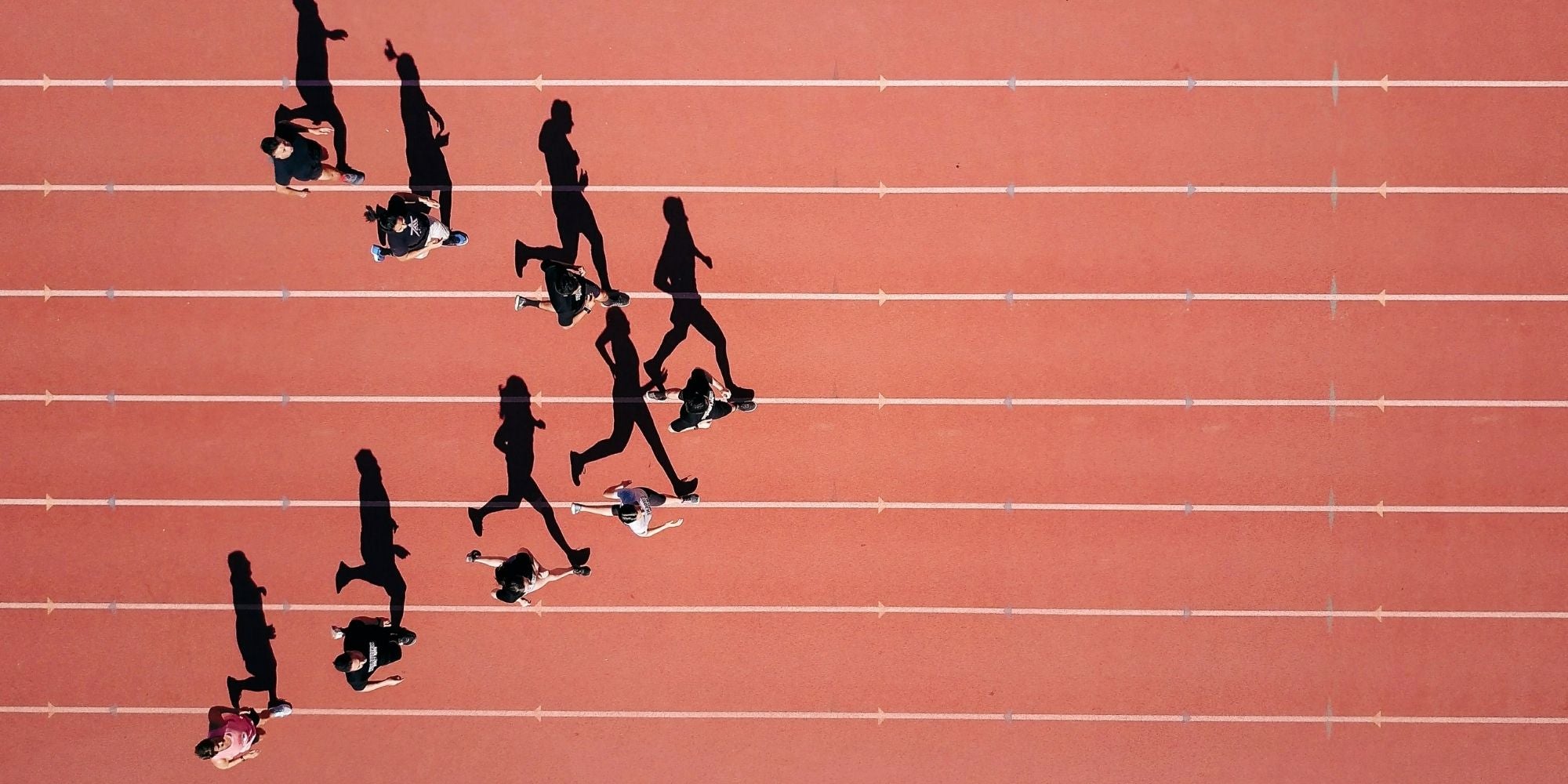 Aronia Polyphenols and Exercise Performance: Beyond Traditional Antioxidants