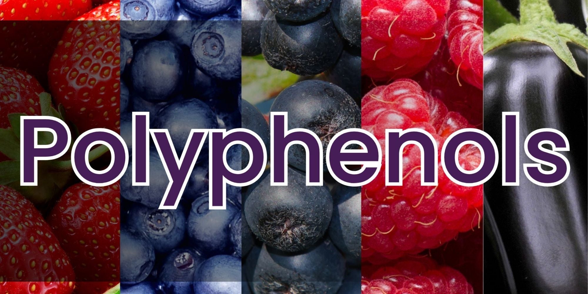 What Are Polyphenols?