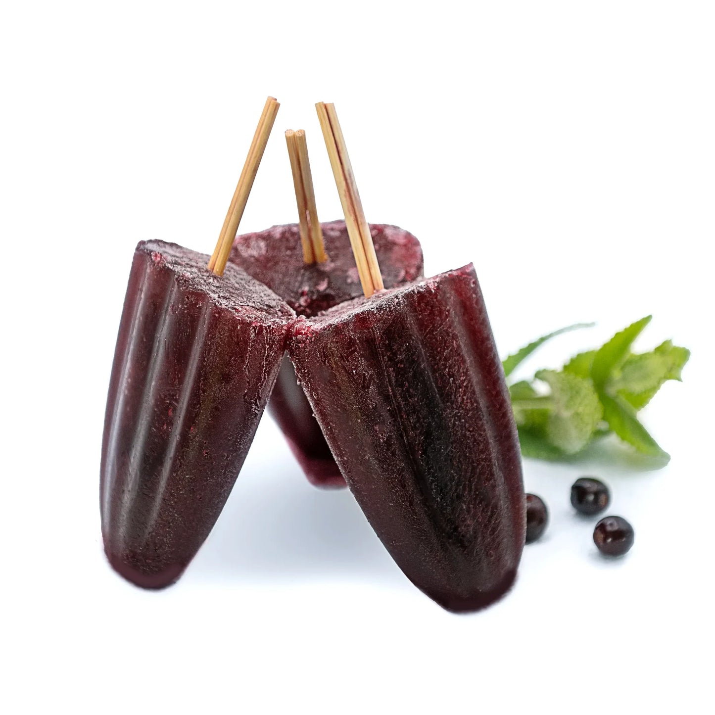 PhyterBerry Aronia Essence - LIFE